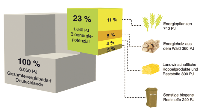 Biomasse Wissen Wiki Biomasse Wissen Wiki
