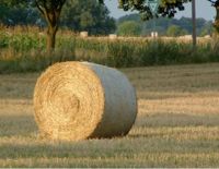 Stroh