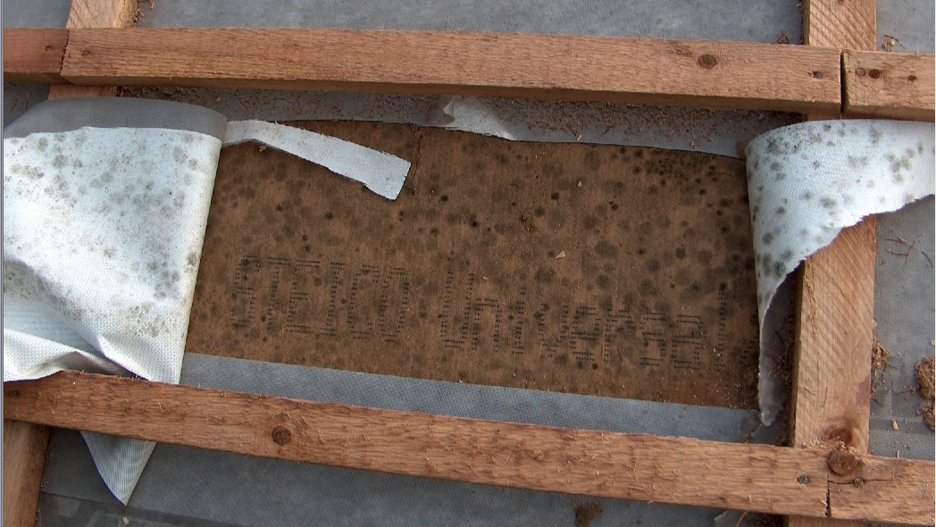 BPhys GD 4ADS 31 schimmelbefall.jpg