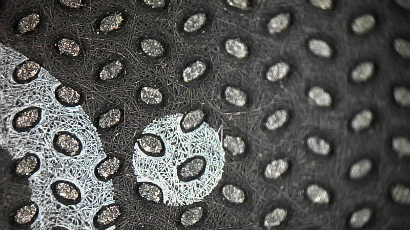 BPhys GD 4ADS 37 solitex 24 wochen.jpg