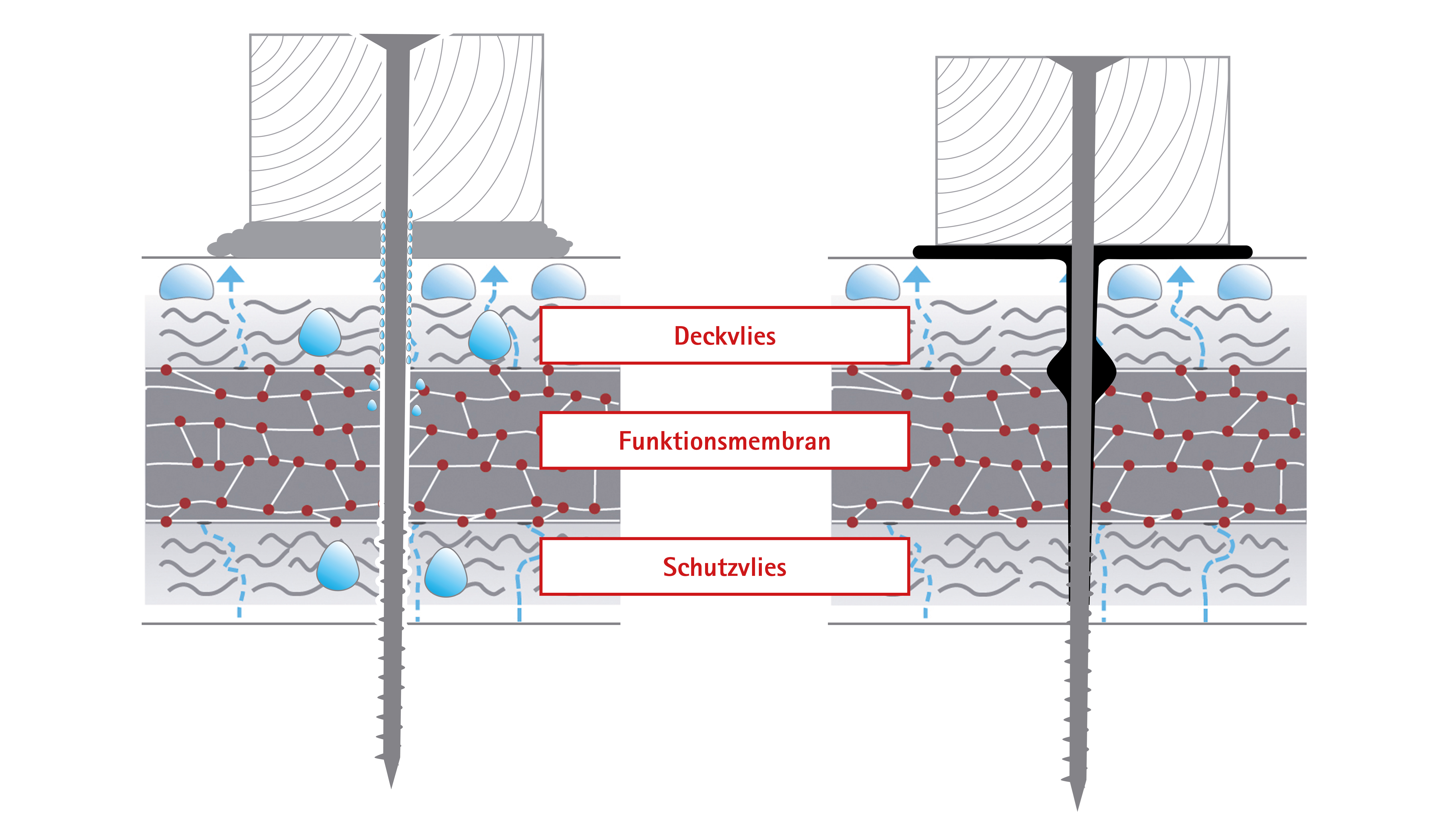 BPhys GD 4ADS 44 nageldichtung schaum butyl.jpg