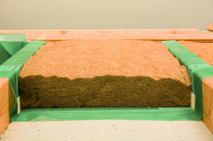 Vorschaubild der Version vom 17:43, 25. Jun. 2007