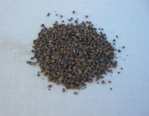 Blähton - Blähschiefer