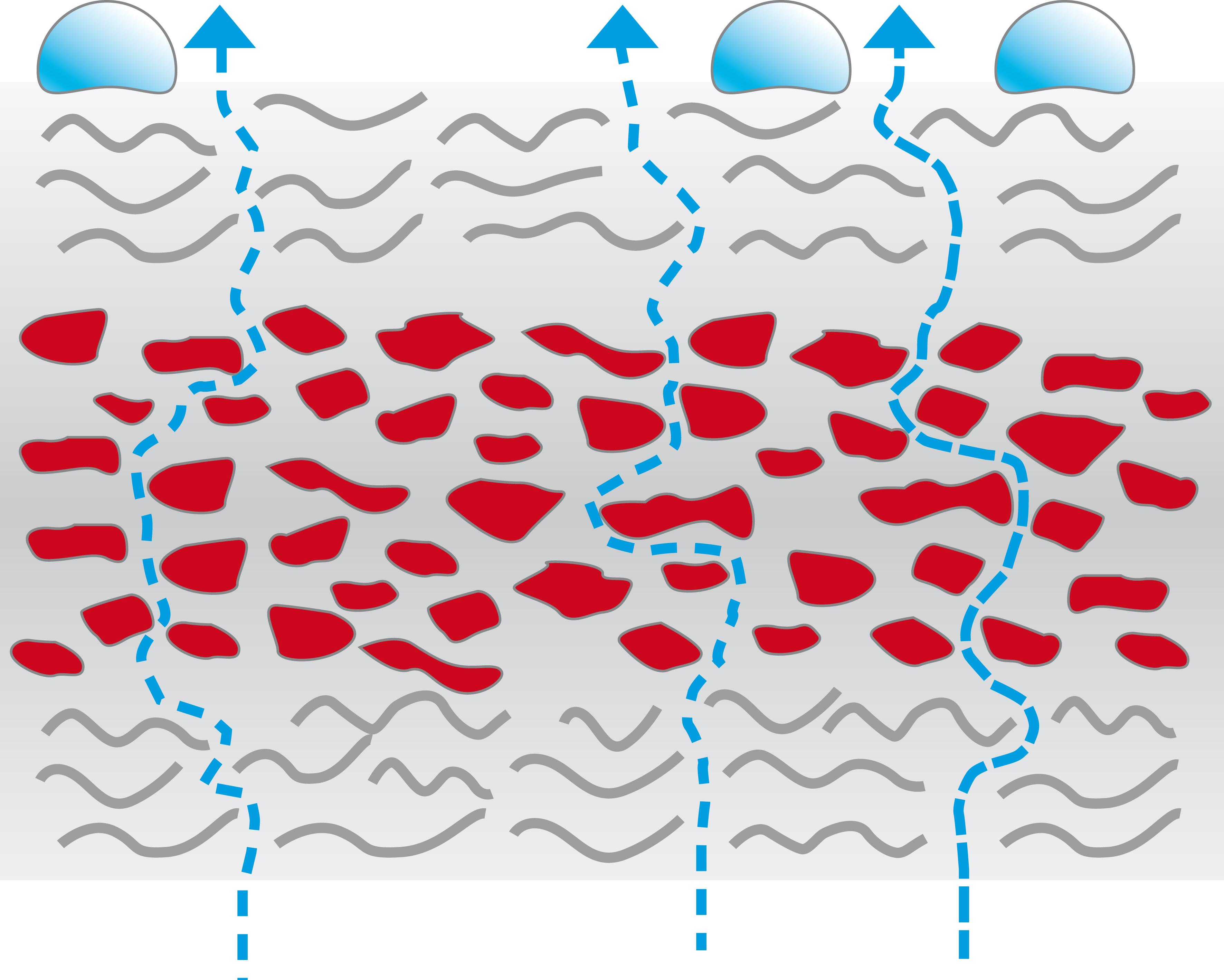 Tech membran poren.jpg