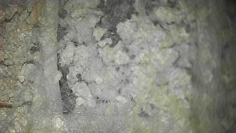 BPhys GD 4ADS 36b udb 13 wochen.jpg